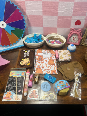 GRAB & GO MINI - Capybara Ready-to-Ship Mystery Box – 12 Surprises