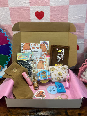 GRAB & GO MINI - Capybara Ready-to-Ship Mystery Box – 12 Surprises