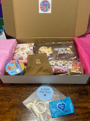 GRAB & GO MINI - Capybara Ready-to-Ship Mystery Box – 12 Surprises